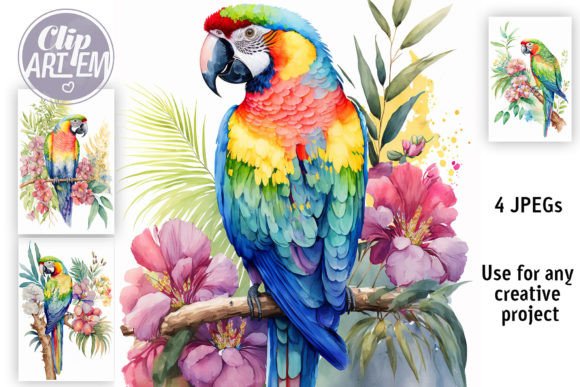 Download Tropical Parrot 4 JPEG Bundle Wall Art - Premium Bundle